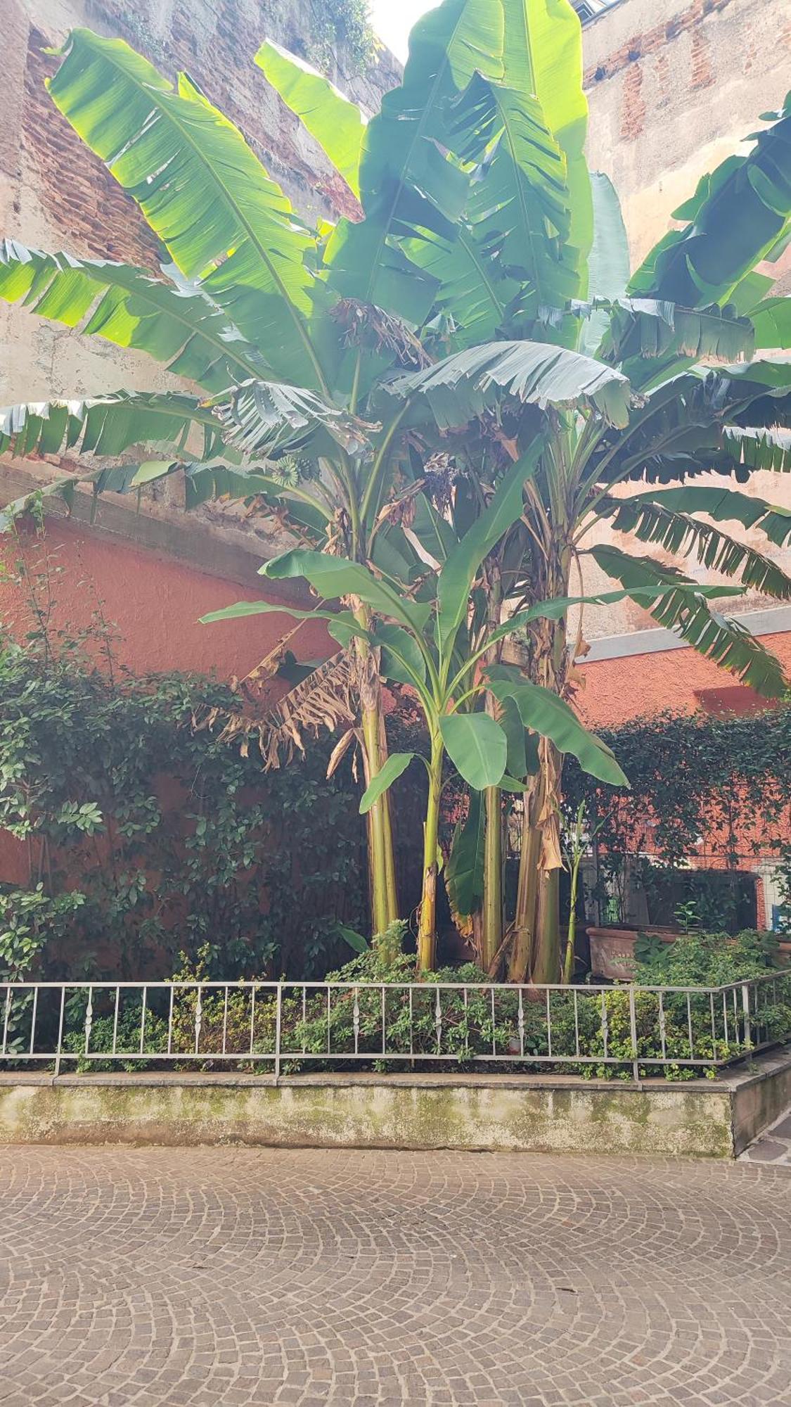 Suite51 Apartamento